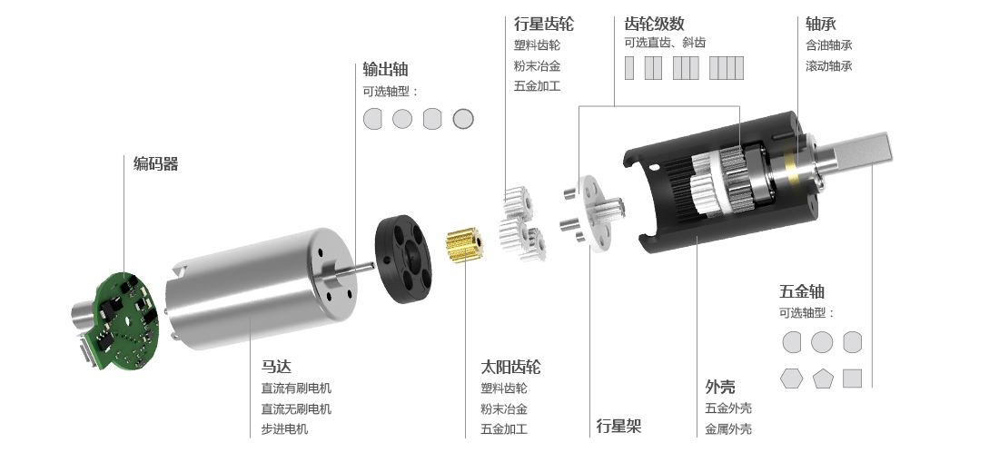 6mm空心杯減速電機